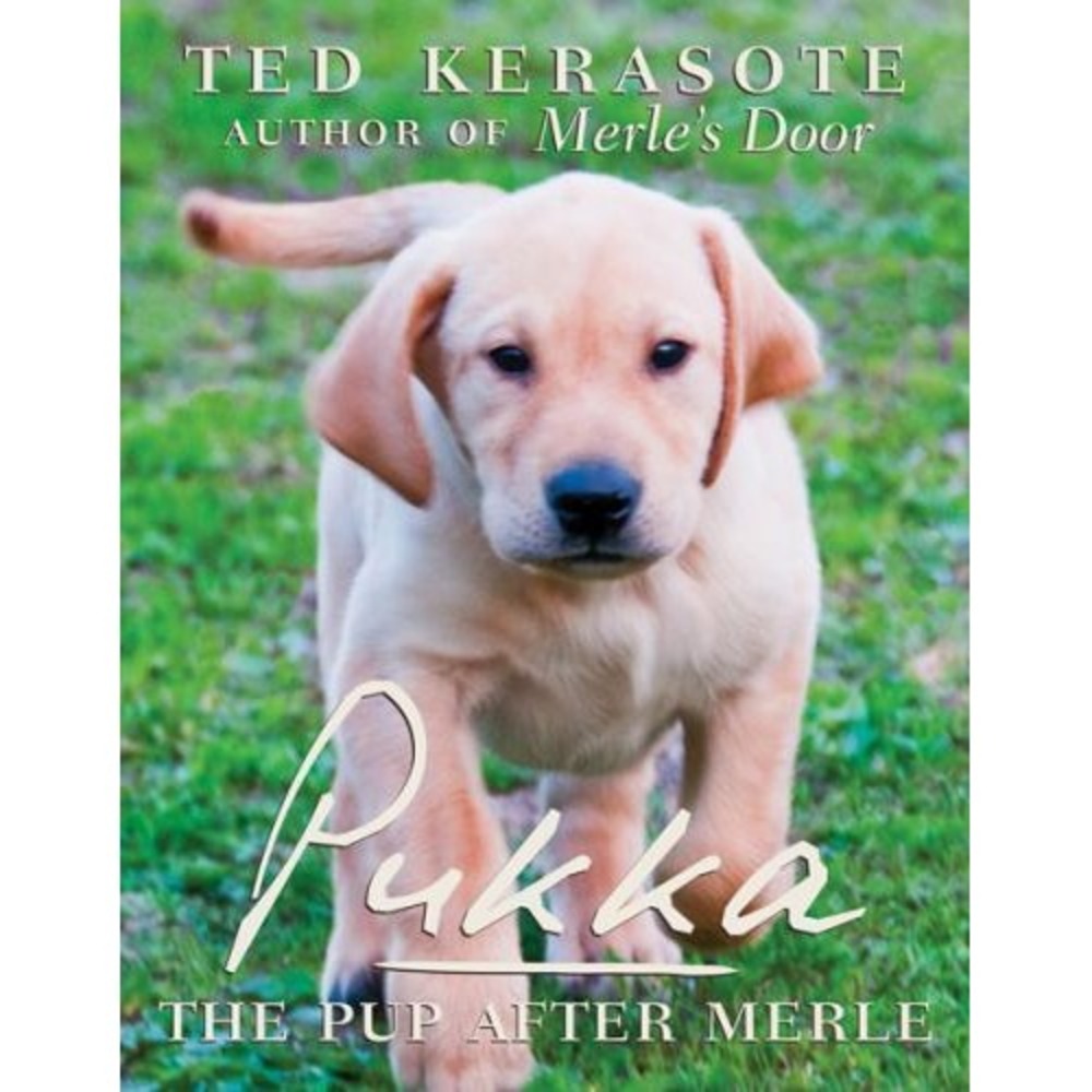 Pukka : The Pup after Merle by Ted Kerasote (2010, Hardcover)